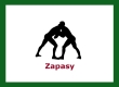 Zapasy